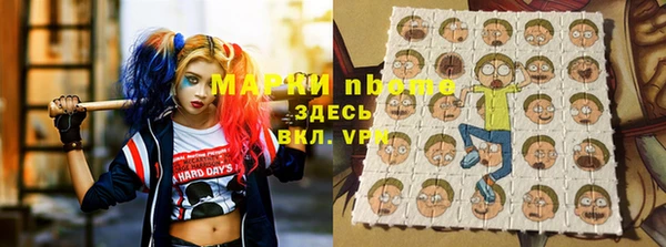 соль ск Елабуга