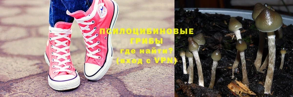 соль ск Елабуга