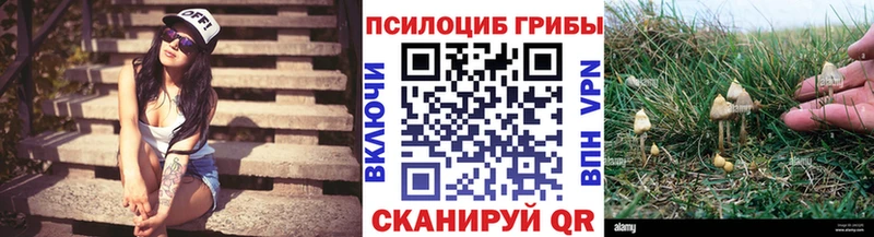 Купить Красный Холм Галлюциногенные грибы мицелий