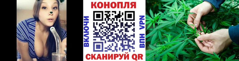 Купить  Красный Холм  Канабис семена 